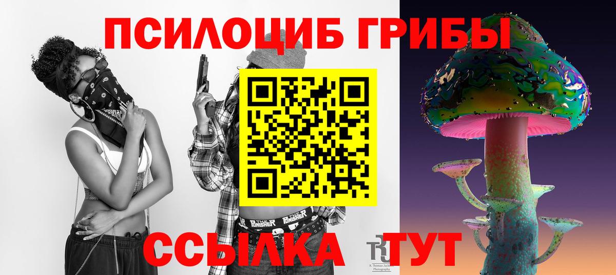 Благовещенск  закладки  Вход с VPN  Псилоцибиновые грибы MAGIC MUSHROOMS 