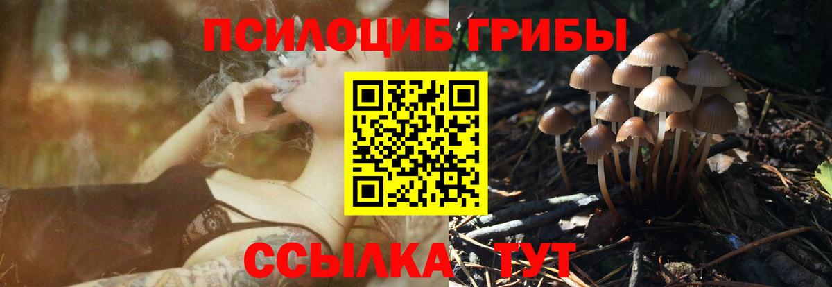 Галлюциногенные грибы Psilocybe Благовещенск